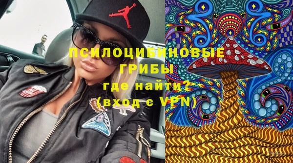 герыч Семилуки