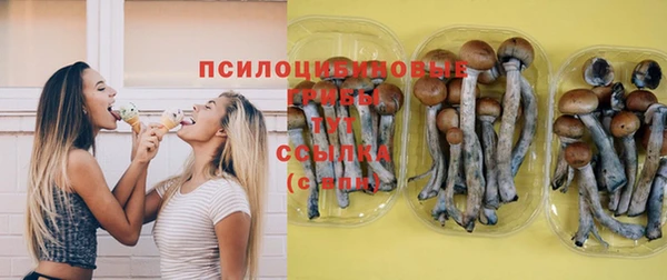гидропоника Семёнов