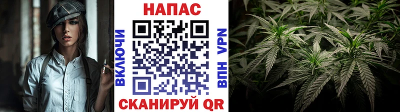 цена наркотик  маркетплейс как зайти  Конопля MAZAR  Сольвычегодск 